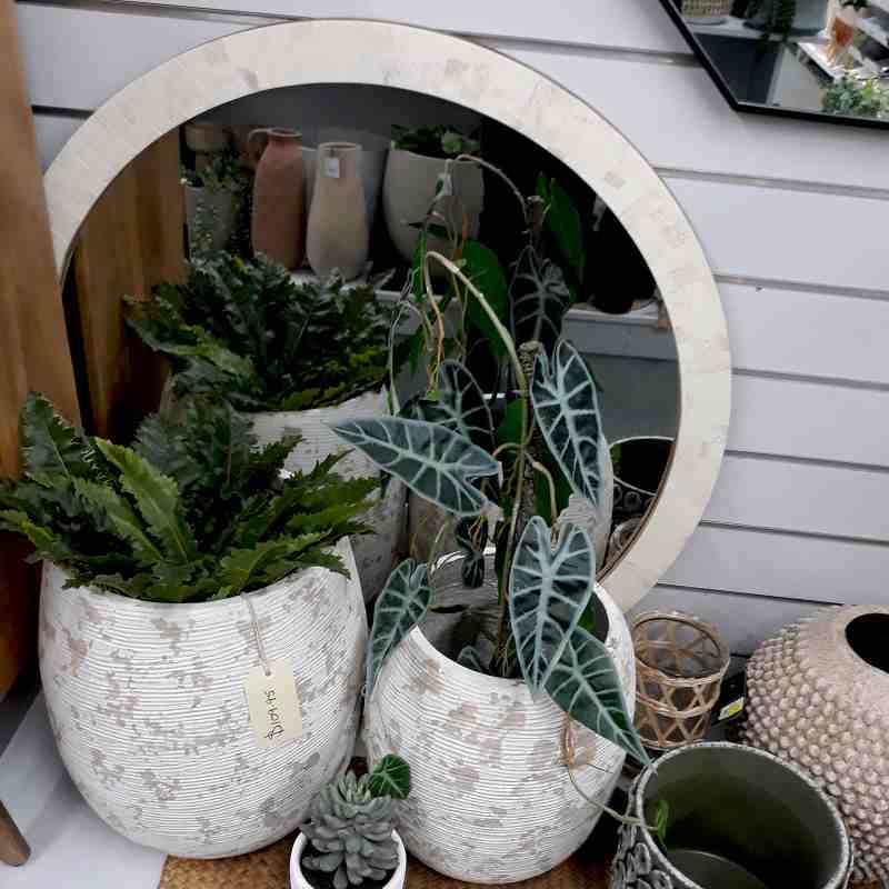 Homewares gallery image